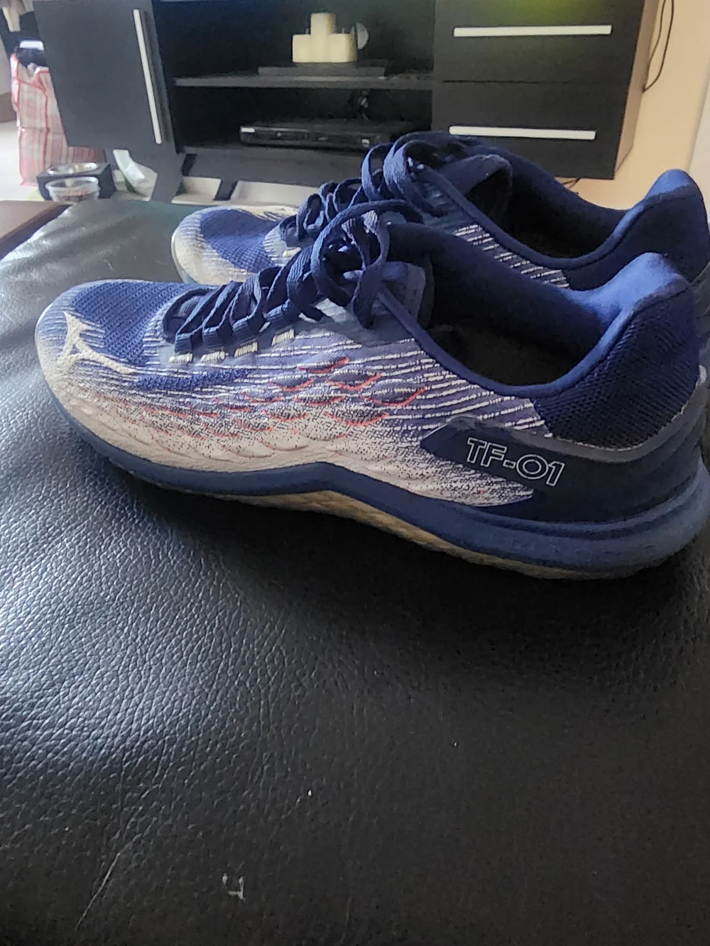 Mizuno TF-01 Running Shoes